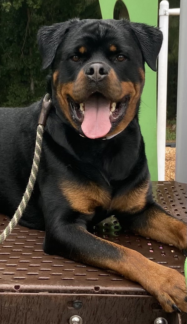 Romeo