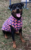 Lola