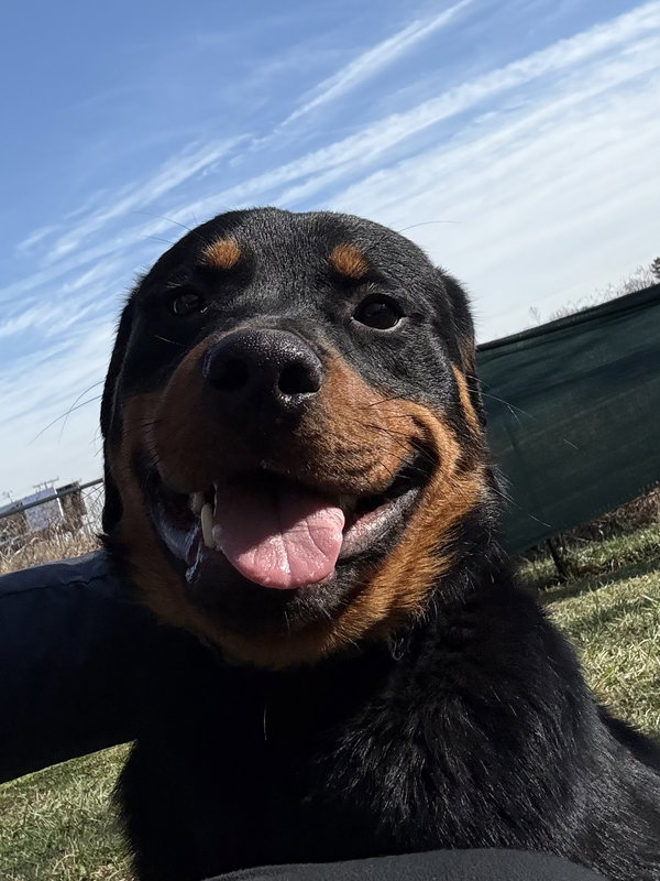 Enzo