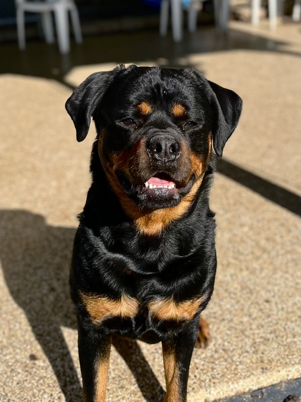 Benson