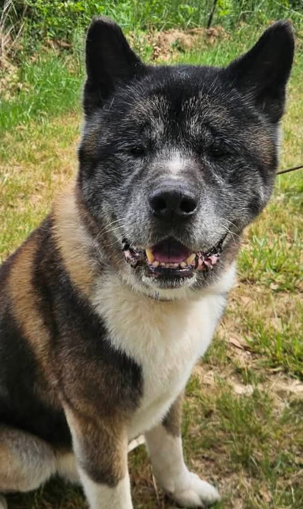 Coda