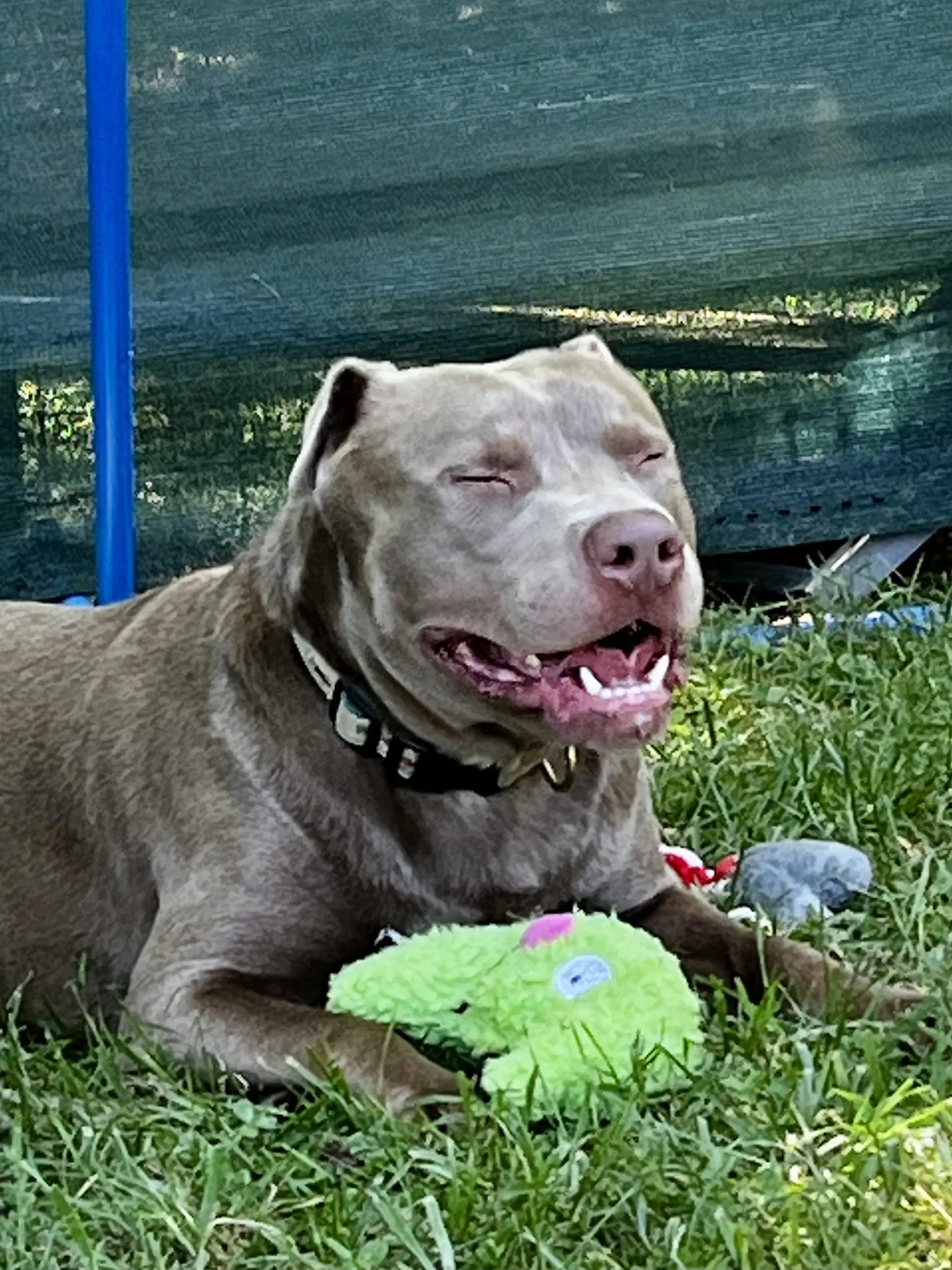 Cooper image 2