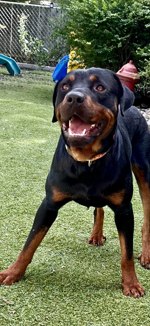 Ben