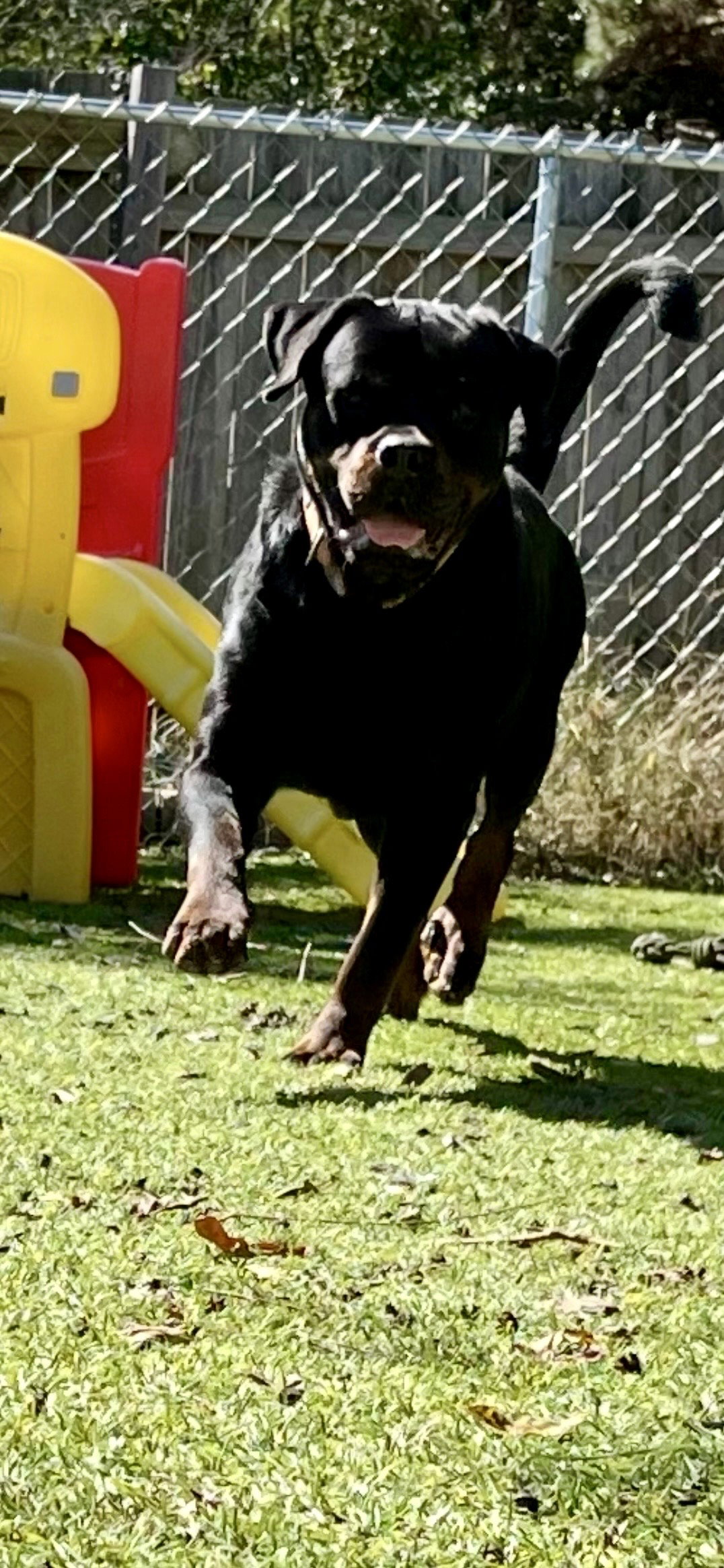 Bane, photo 11