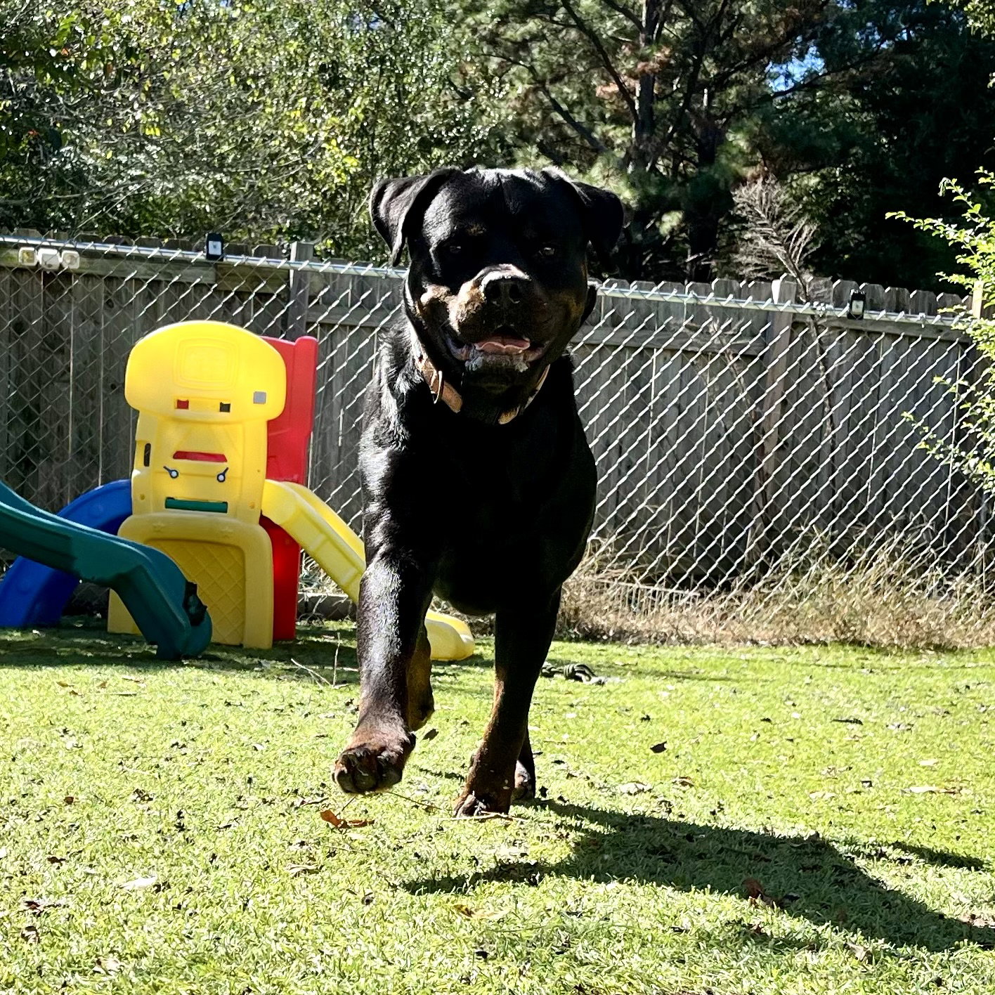 Bane, photo 10