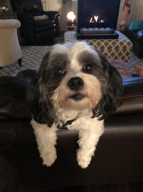Cooper photo 1