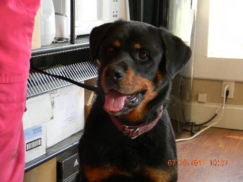 Truman