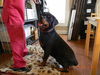Truman