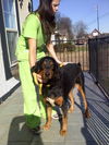 Tucker