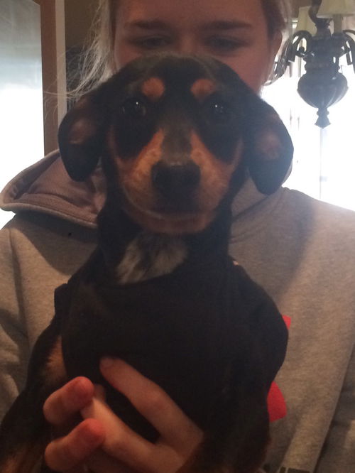 Toby