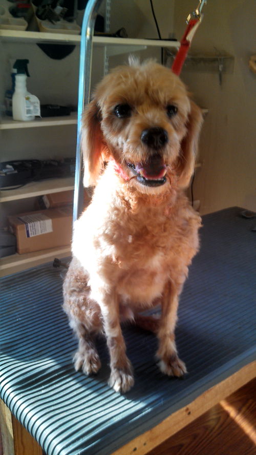 Tucker