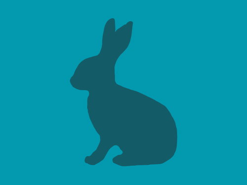 MISTER RABBIT