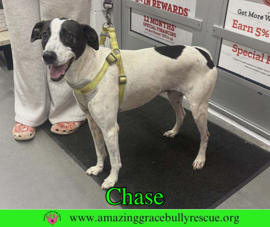 Chase