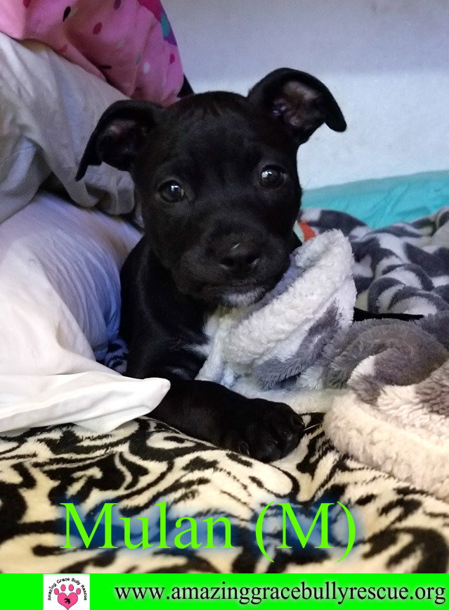 Mulan aka Sasha