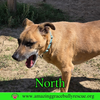 North