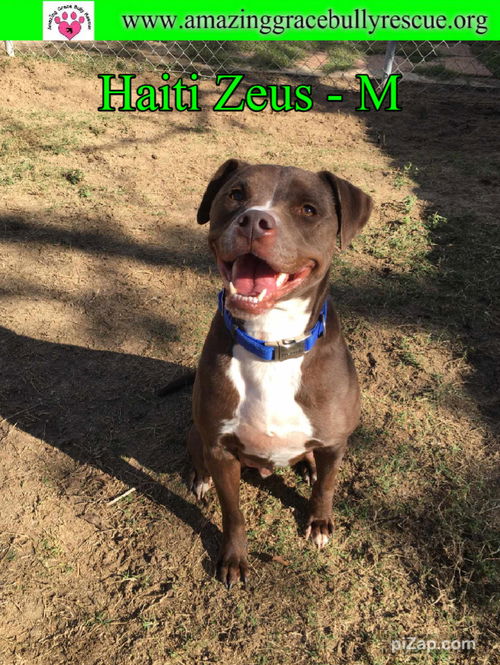 Haiti/Zeus