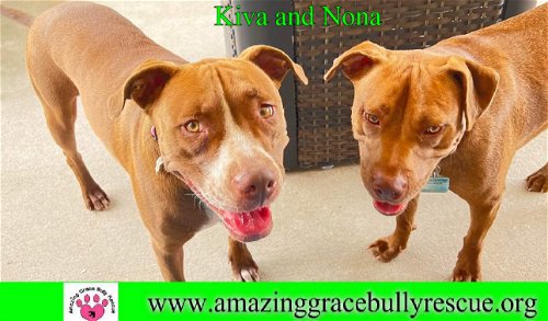 Kiva and Nona