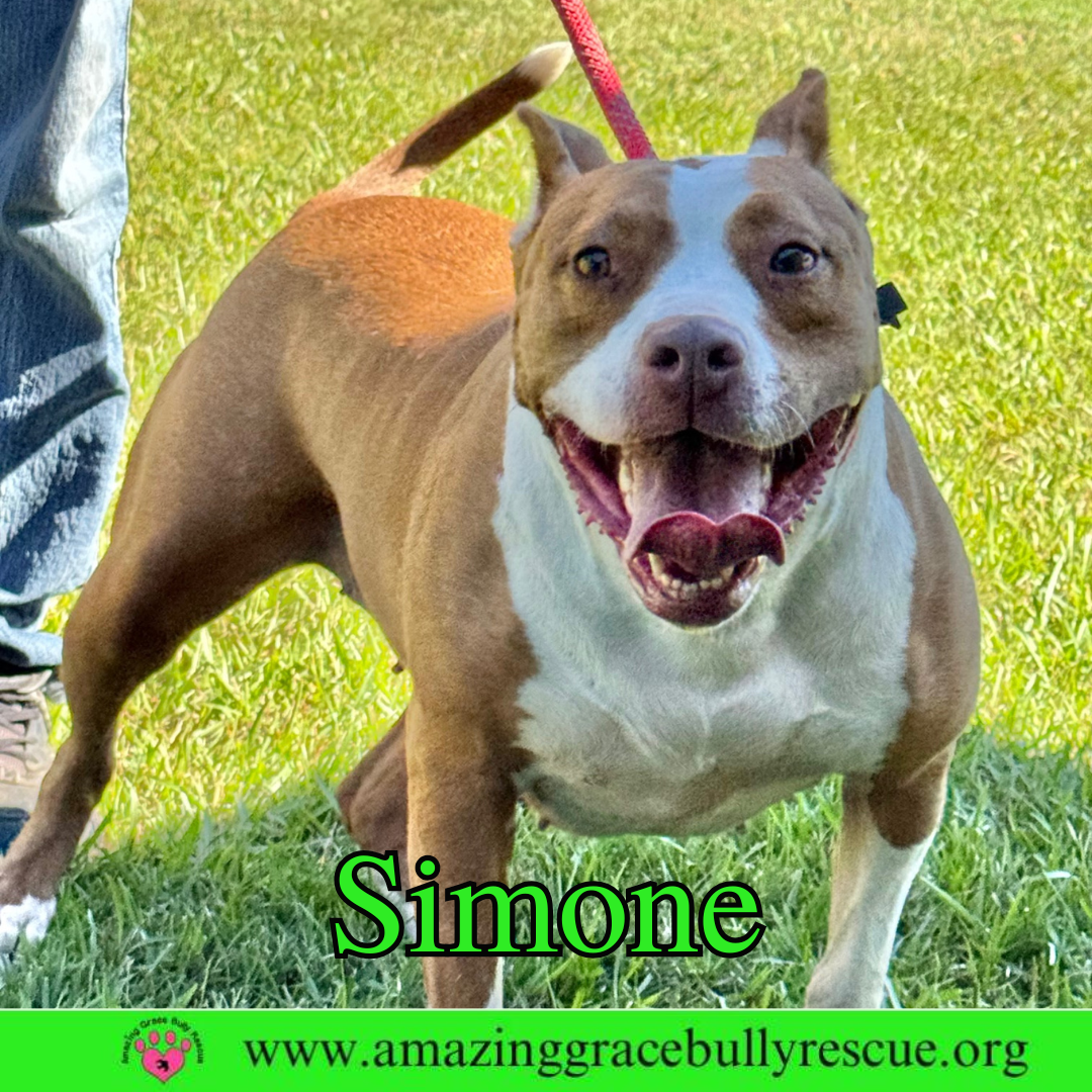 Simone Image