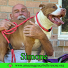 Simone - Photo 5