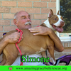 Simone - Photo 6