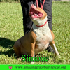 Simone - Photo 7