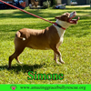 Simone - Photo 25
