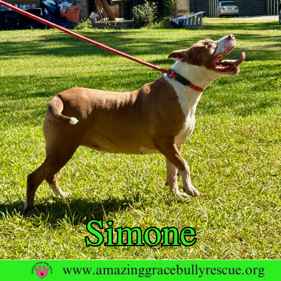 Simone