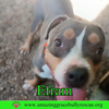 Efram - Photo 2