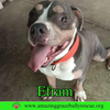 Efram - Photo 3
