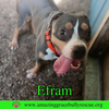 Efram - Photo 4