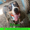 Efram - Photo 5