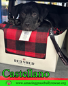 Castellano