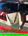 Castellano