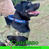 Castellano