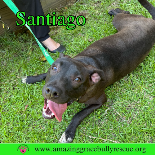 Santiago