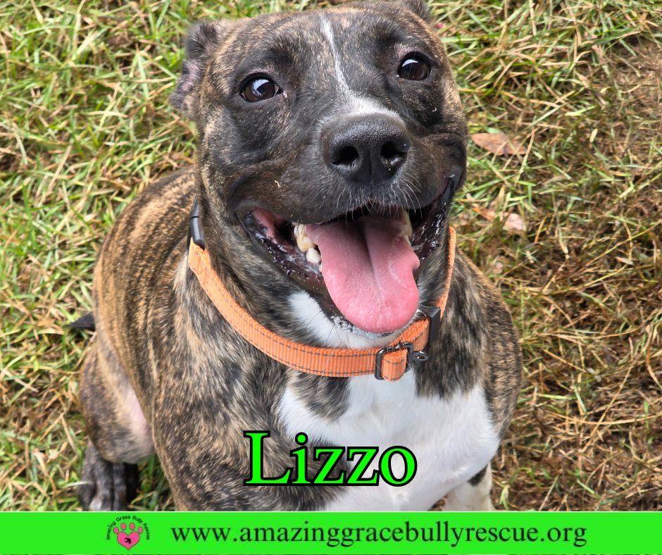 Lizzo Image