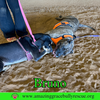 Bruno - Photo 7