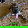 Bruno - Photo 9