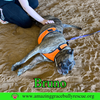 Bruno - Photo 11