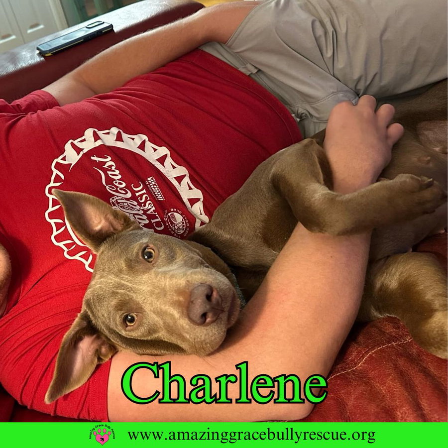 Charlene (Char)
