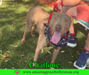 Charlene (Char)