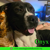 Onyx