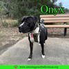 Onyx