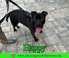 Happy - Photo 3