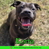 Korra