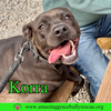 Korra
