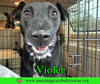 Violet - Photo 2