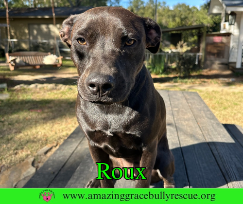 Roux 2