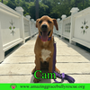 Cam