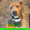 Buddy 2